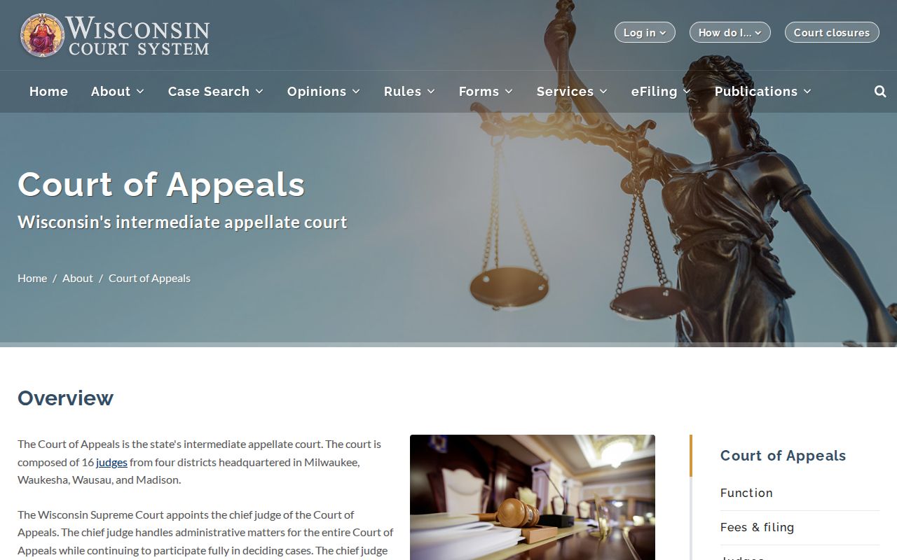 Wisconsin criminal court cases Court of Appeals
