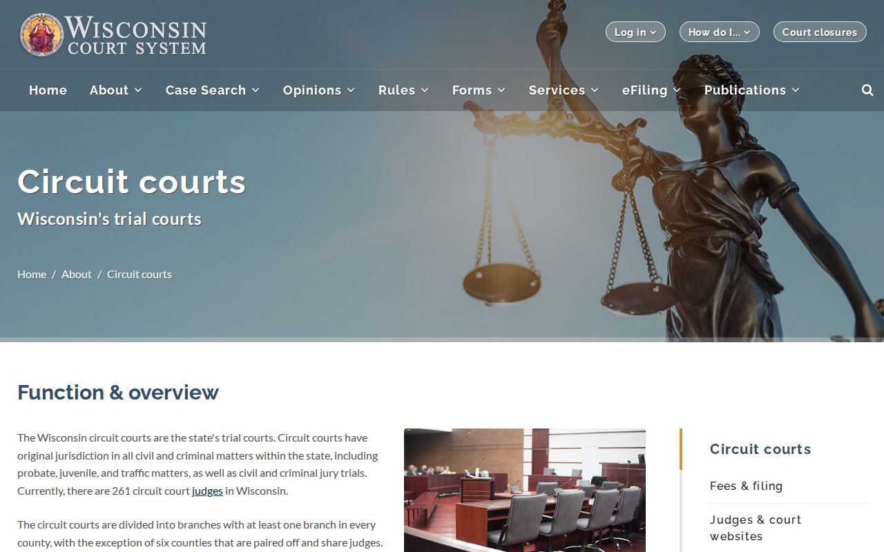 Wisconsin criminal court cases circuit court overview